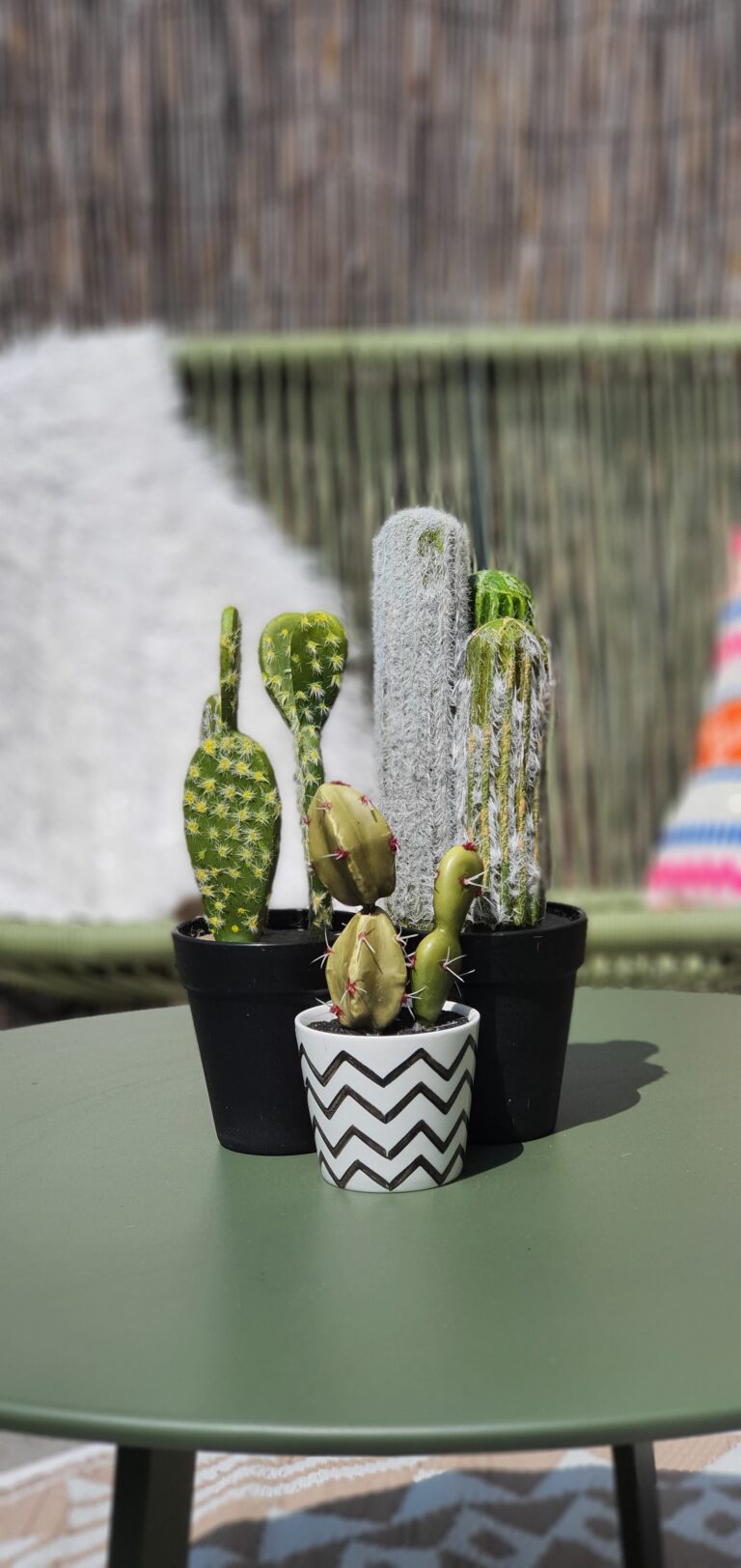 Kunst cactus