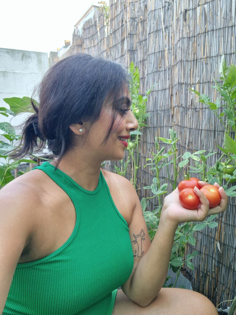 Moestuin tomaten